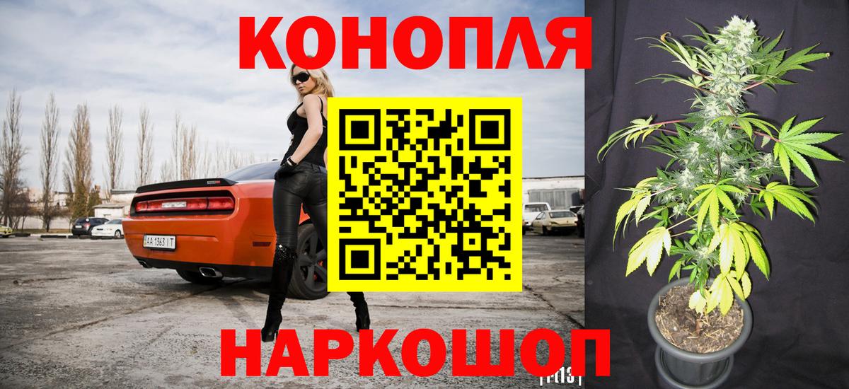 Конопля конопля  Бошки марихуана план  Петрозаводск  Бошки марихуана SATIVA & INDICA  Вход с VPN 